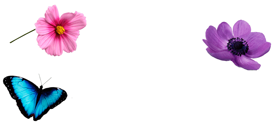 background-main-font-slider.png