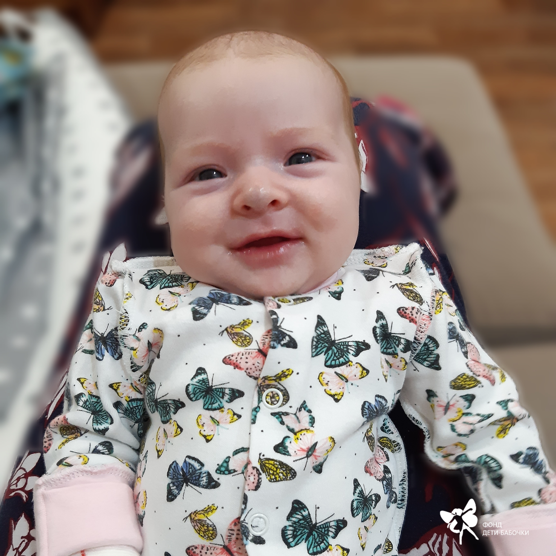 Светлана Щипкова